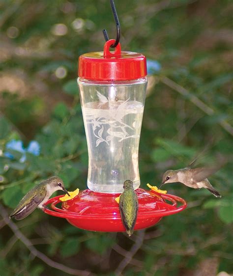 The top part of the feeder is an old powerade or gatorade bottle. Homestead 12 oz Hummingbird Feeder Etched Hardened Glass ...