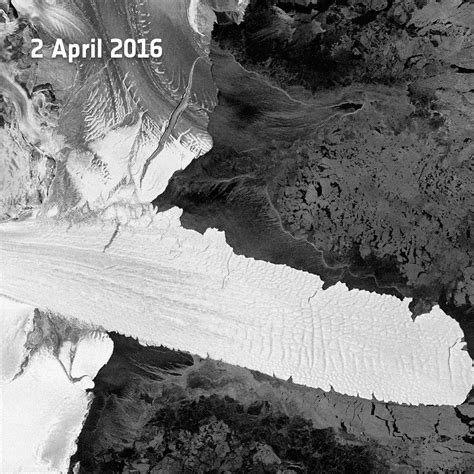 Gangstersout Blog Ice Shelf Collapse In Antarctic