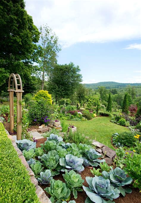This Mixed Garden Beautifully Mingles Vegetables And Flowers