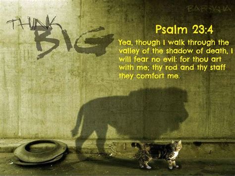 Am of the shadow of death em and i fear no evil. Psalm 23:4 Yea, though I walk through the valley of the ...
