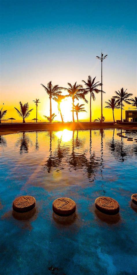 Sunset Palm Tree Pool Water 1080x2160 Wallpaper Sunset Palm