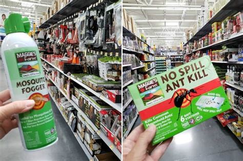 Political factors operating in a globalized nature, walmart store is located in every city and part of the world. How To Get Rid Of Bugs The Family Friendly Way | Fun Money Mom