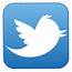 Twitter Logo Design History And Evolution  LogoRealmcom