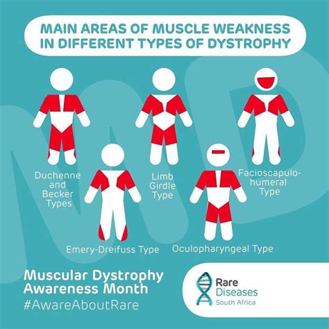 Musculardystrophy Mdawarenessmonth Facts Care4rare Awareaboutrare
