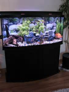 fish tank 72 gallon bow front 72 Gallon Bow Front Oak Tank Stand 