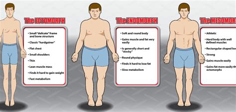 The Body Types Explained Ectomorph Mesomorph And Endomorph Bodybuilding Wizard