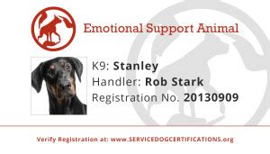 Actually, you don't register your cat anywhere! Emotional Support Animal ID | Service Dog Certifications