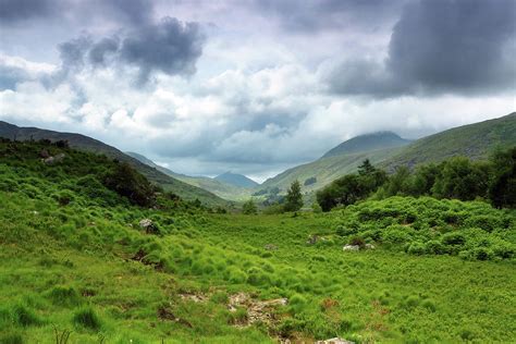 Irish Landscape By Mammuth