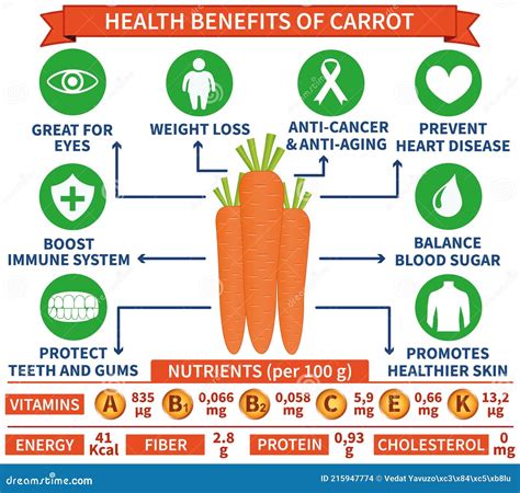 Health Benefits Of Carrot Infographic Vector Illustration Health Care