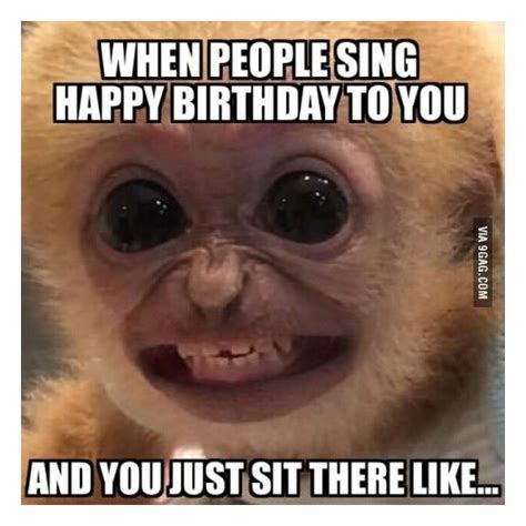 99 Best Funny Happy 60th Birthday Memes Funny Happy B
