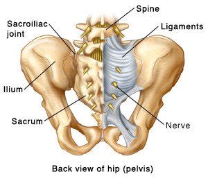 Si Joint Sprain Pain Dysfunction Perth Sports Chiropractor