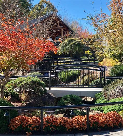 Review Of The North Carolina Arboretum In Asheville