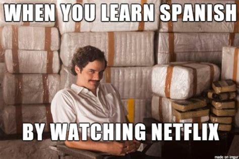 Time To Binge Watch These Netflix Memes 30 Pics