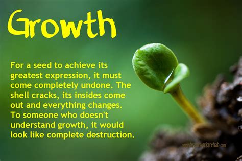 Quotes About Growth And Seeds Quotesgram