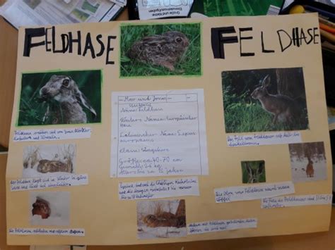 Deswegen bin ich mir nicht sicher, ob es donnerstag öffnet 😅. Grundschule Vrees - Aktuelles