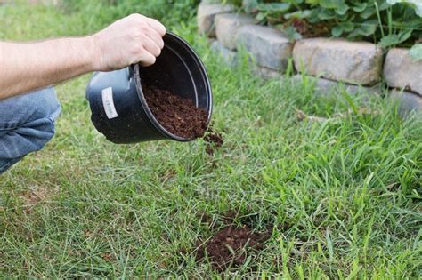 Can I Add Topsoil To An Existing Lawn Hunker