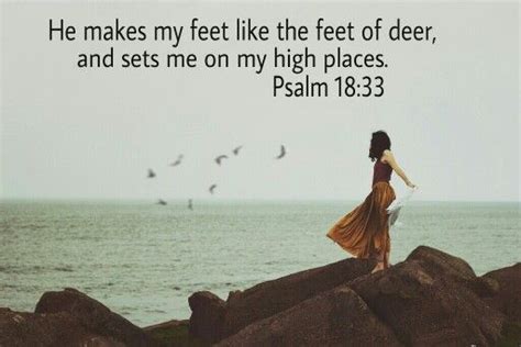 Psalm 1833 Amplified Bible Quotes Pinterest