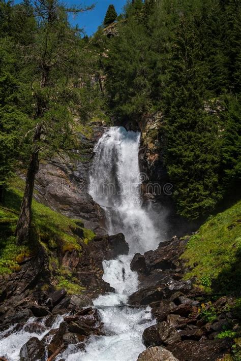 Waterfall In The Wood Stock Photo Image Of Plant Forest 38736200