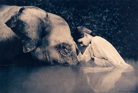 Affectionate Reverence ~ Ashes And Snow By Gregory Colbert Elephant