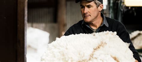 What Is Merino Wool And How Is It Made The Woolmark Company