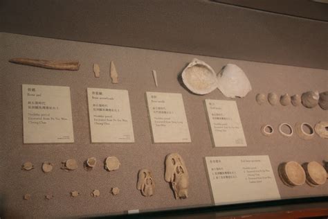 Neolithic Bone Tools And Fish Bones Hong Kong Museum Of Hist Flickr