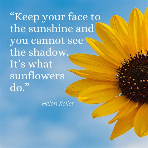 Sunflower Quotes To Inspire And Brighten Your Day