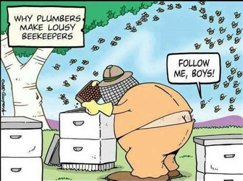 Pin By Beth Kern On Bees Bee Keeping Funny Cartoons Jokes Bee Humor