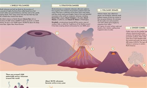 Science Archives Page 2 Of 6 Visual Capitalist