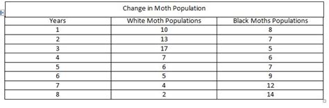 Moth Lab - GT Science Notebook
