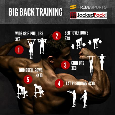 Maybe you would like to learn more about one of these? BIG BACK TRAINING ROUTINE
