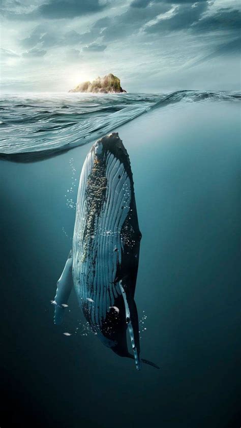 Pin by Silvia Raquel Garicia Lemus on oil painting | Underwater animals