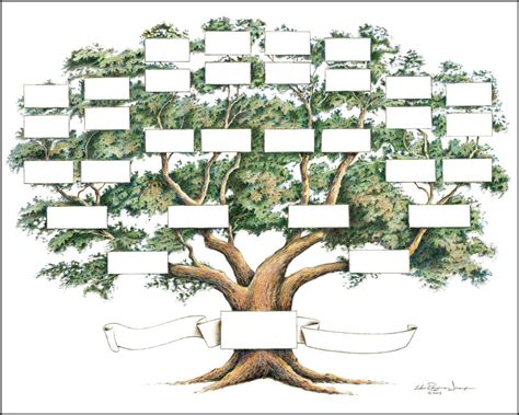 Kids learning about their family history through family tree helps them develop a better sense of who they are and why they look and act the way one's ancestors do. Family Tree Chart 5 to 6 Generations Genealogy, 14x18" Ivory Color | eBay