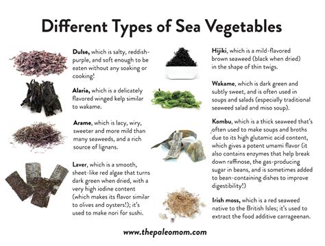 The Health Benefits Of Sea Vegetables ~ The Paleo Mom In 2021 Sea