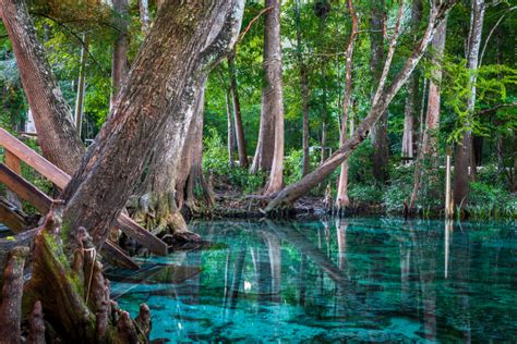 5 Gorgeous Natural Springs To Check Out Around Miami