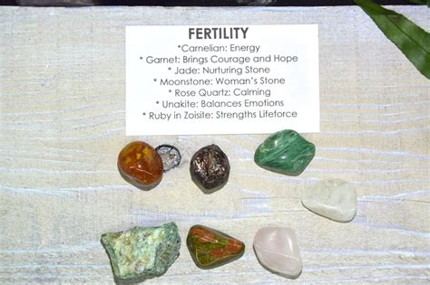 Fertility Crystals Gemstones Kit Fertility Set Increase Etsy