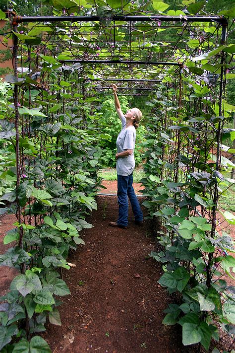Maybe you would like to learn more about one of these? 10 Ways to Style Your Very Own Vegetable Garden