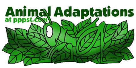 The cactus shows lots of desert adaptations. Plant and Animal Adaptations | Zoology Quiz - Quizizz