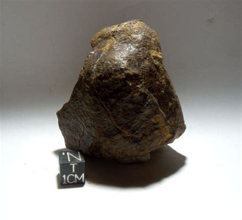 Aerodynamic Meteorite Unclassified Chondrite Saharan Desert Genuine