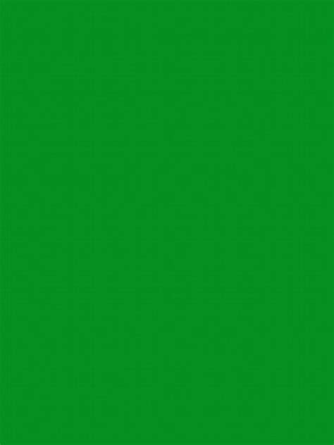 Economy Chromakey Green Screen Backgrounds And Backdrops For Digital