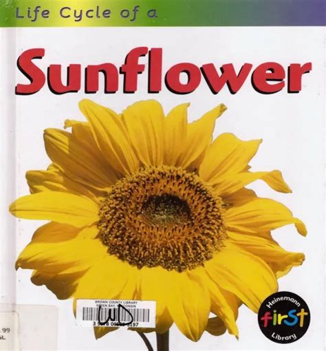 LIFE CYCLE OF A Sunflower By Angela Royston Science Hardcover Gr 1 3 2