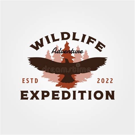 Eagle Wildlife Vintage Vector Illustration Design Adventure Expedition