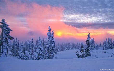 Snow Scenes Sunset Hd Wallpaper Wide Screen Wallpapers 1080p 2k 4k