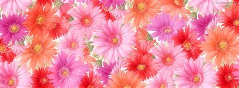Colorful Flowers Facebook Cover Photo