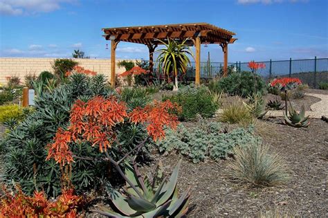 Landscaping Photography Water Wise Landscaping Xeriscape Xeriscape