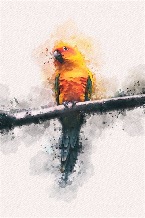 Vivid Paint Watercolor Photoshop Action By Ridvanpars Graphicriver