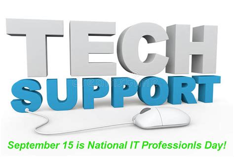 National It Professionals Day