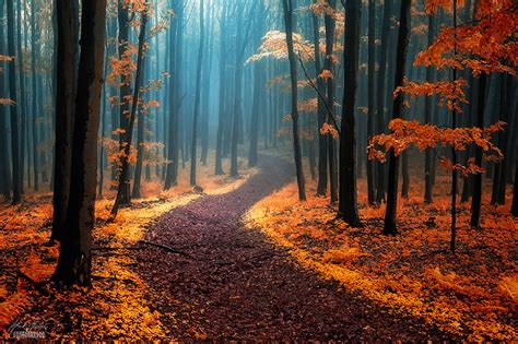 These 203 Beautiful Autumn Photos Will Inspire You To Grab
