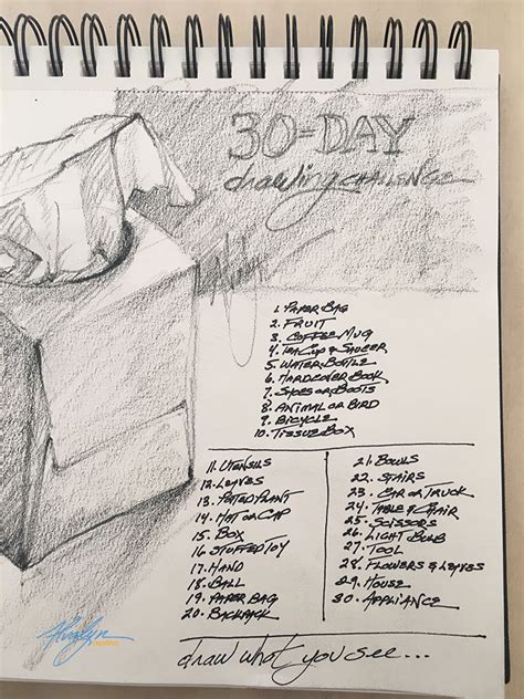 30 Day Draw What You See Drawing Challenge Alvalyn Creative Illustration