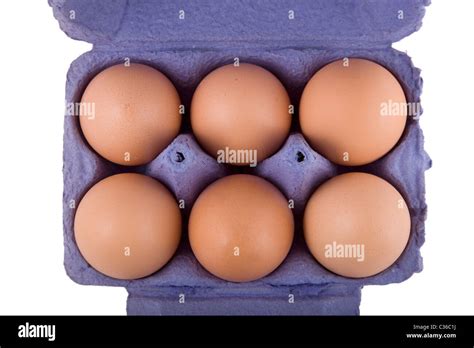 Brown Hens Eggs In Blue Egg Carton Isolated On White Background Stock