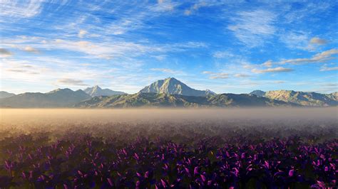 Download Sky Pink Flower Flower Fog Field Mountain Cloud Scenic Nature